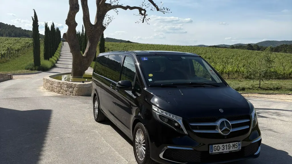 Mercedes Classe V noire à l’arrêt à la campagne, devant un arbre remarquable et des vignes